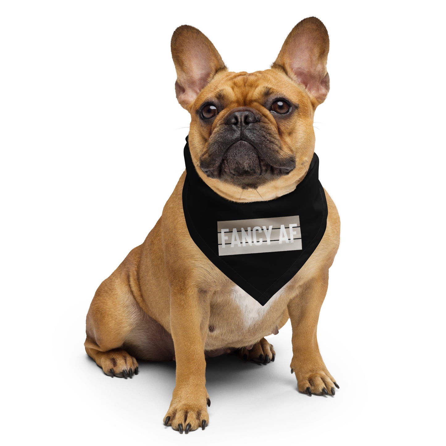 FANCY AF Dog/Pet Bandana (Black) - (Unisex) All-Over Print Bandana