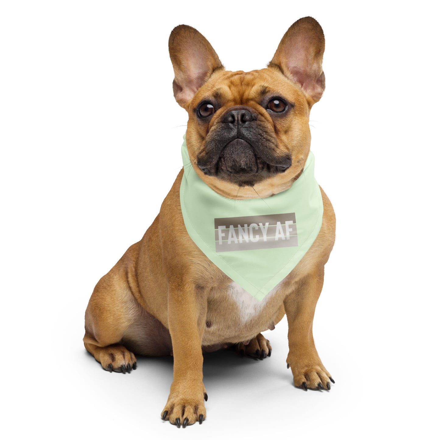 FANCY AF Dog/Pet Bandana (Citron) - (Unisex) All-Over Print Bandana