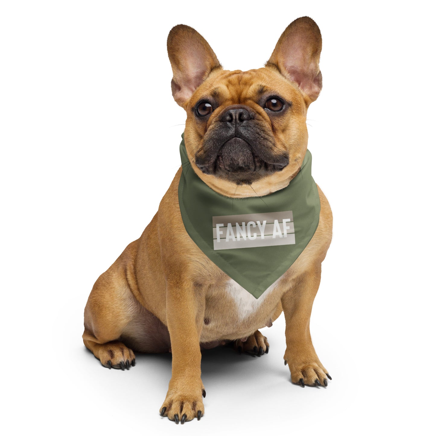 FANCY AF Dog/Pet Bandana (Green) - (Unisex) All-Over Print Bandana