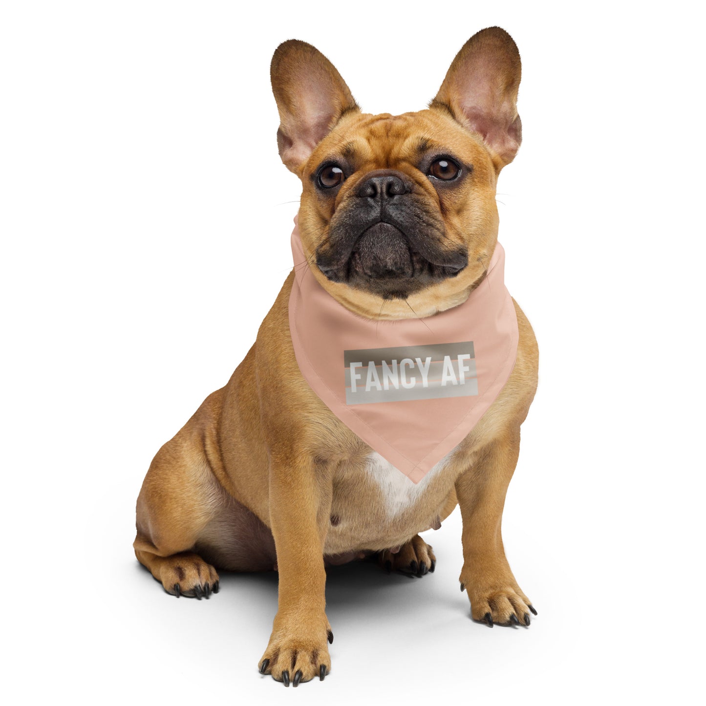 FANCY AF Dog/Pet Bandana (Peach) - (Unisex) All-Over Print Bandana