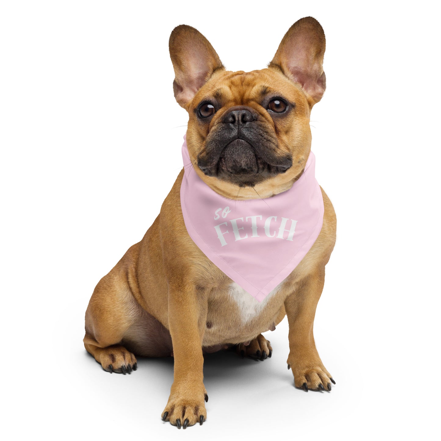 SO FETCH Dog/Pet Bandana (Pink) - (Unisex) All-Over Print Bandana