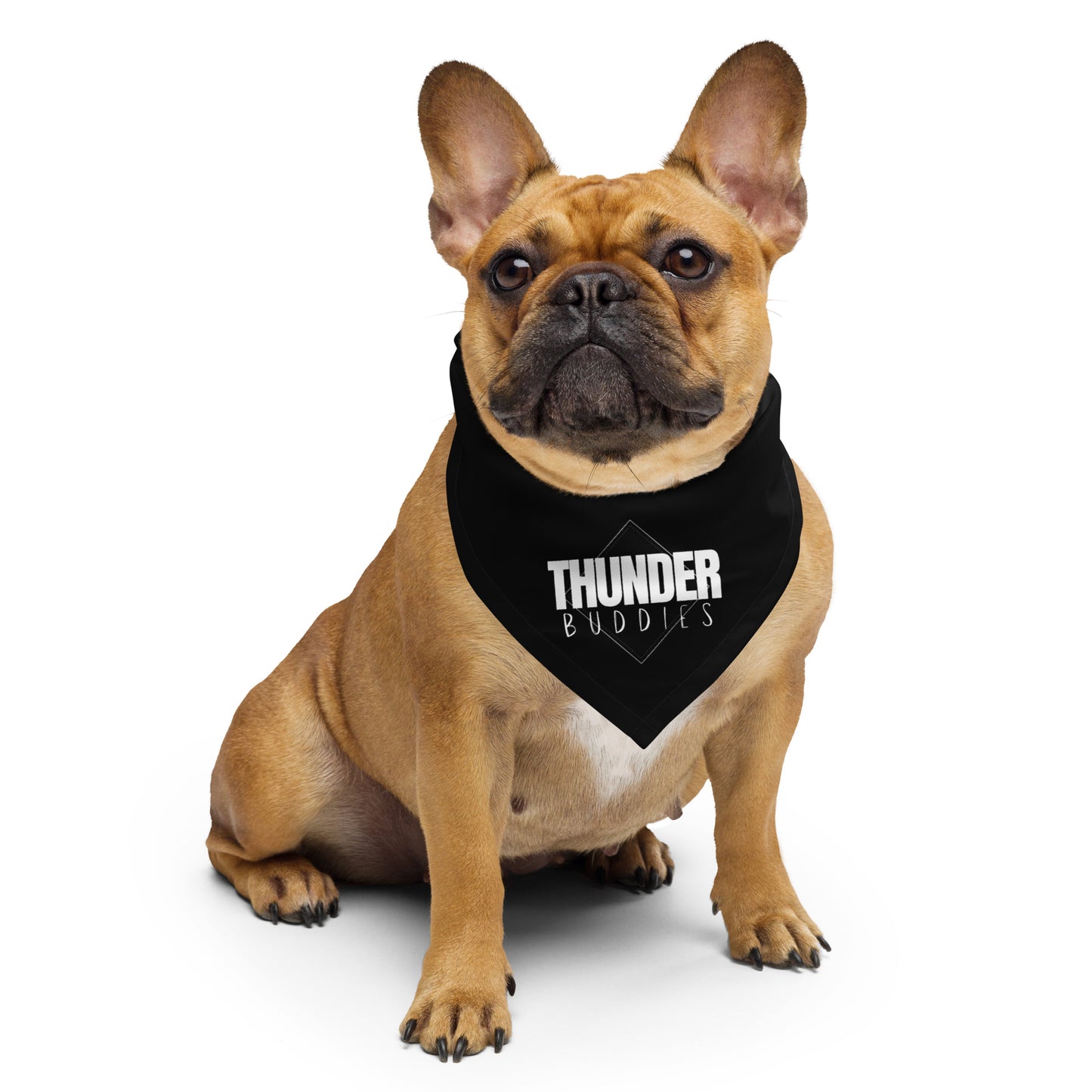 THUNDER BUDDIES Dog/Pet Bandana (Black) - (Unisex) All-Over Print Bandana