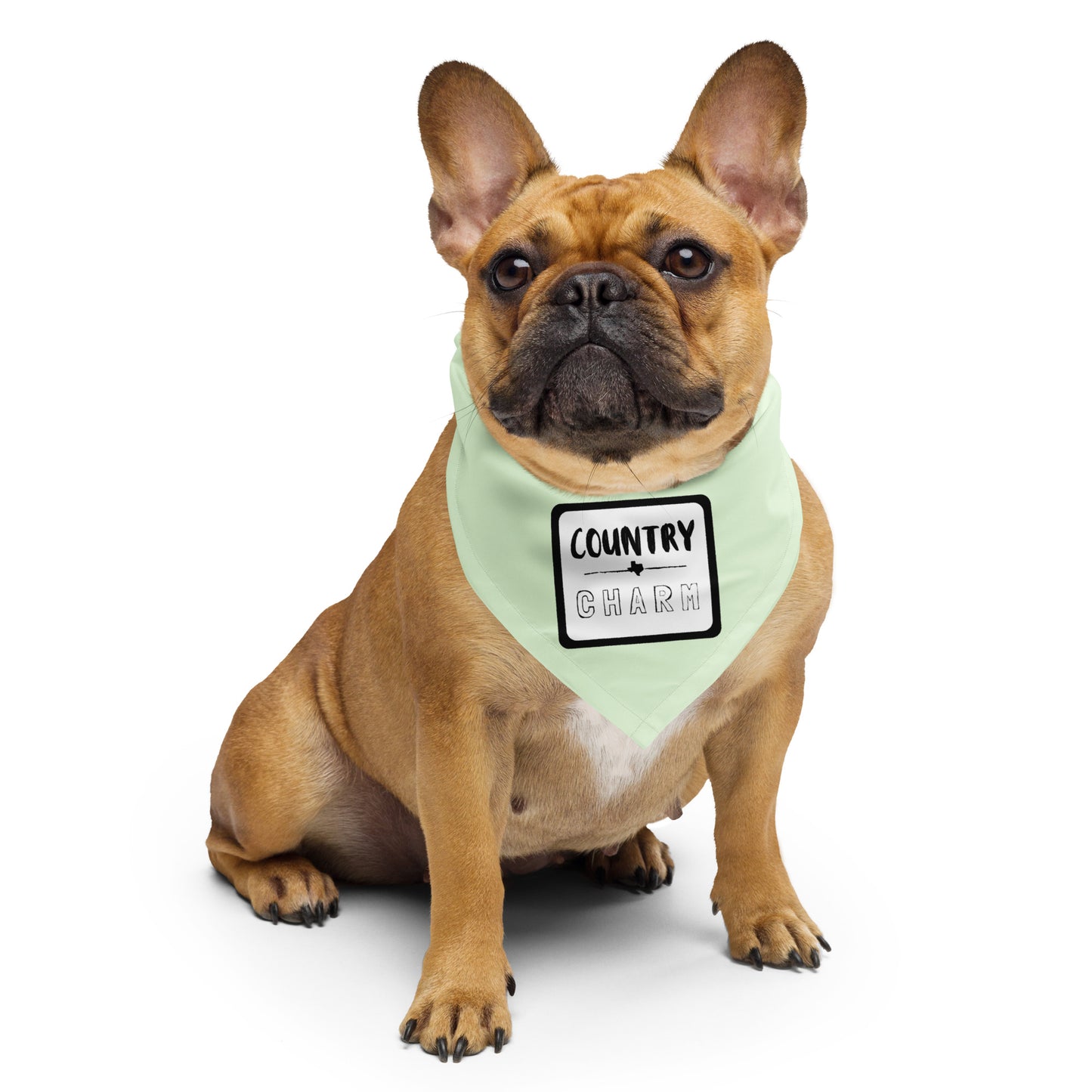 COUNTRY CHARM Dog/Pet Bandana (Citron) - (Unisex) All-Over Print Bandana